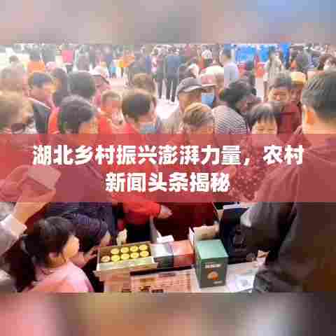 湖北乡村振兴澎湃力量，农村新闻头条揭秘