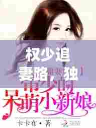 权少追妻路,独家桥上的挚爱妻