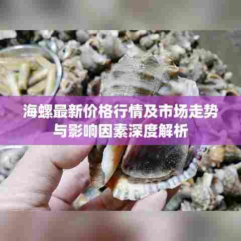 海螺最新价格行情及市场走势与影响因素深度解析