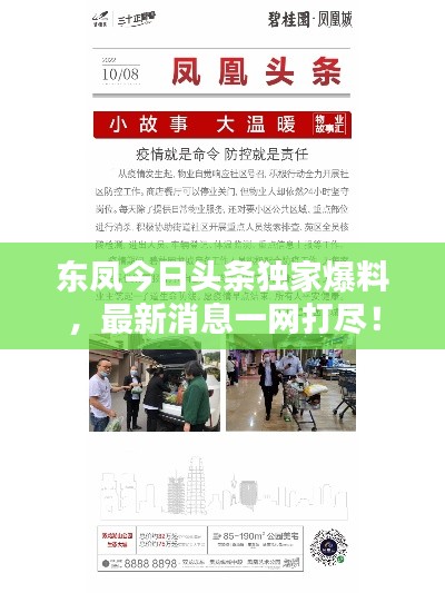 东凤今日头条独家爆料,最新消息一网打尽!