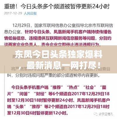 东凤今日头条独家爆料,最新消息一网打尽!