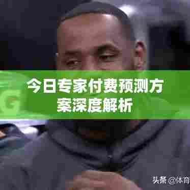 今日专家付费预测方案深度解析