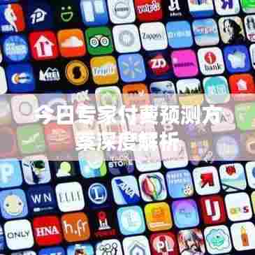 今日专家付费预测方案深度解析