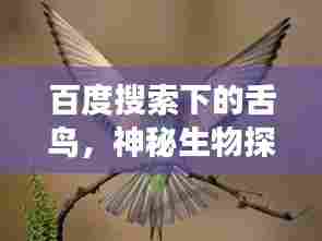 百度搜索下的舌鸟，神秘生物探秘之旅的魅力所在
