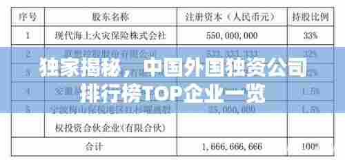 独家揭秘，中国外国独资公司排行榜TOP企业一览