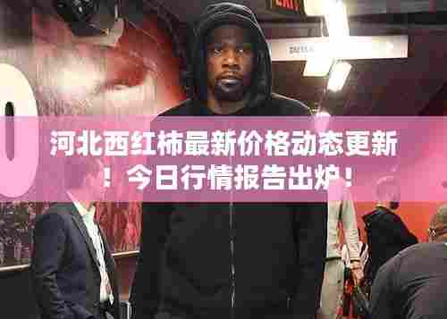 河北西红柿最新价格动态更新!今日行情报告出炉!