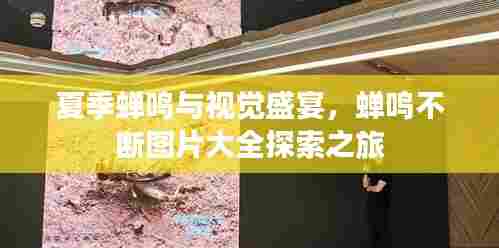 夏季蝉鸣与视觉盛宴,蝉鸣不断图片大全探索之旅