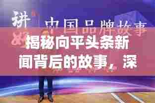 揭秘向平头条新闻背后的故事,深度报道引人关注!