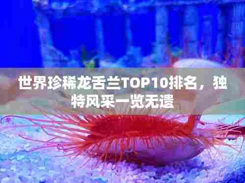 世界珍稀龙舌兰TOP10排名，独特风采一览无遗