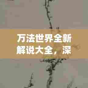 万法世界全新解说大全,深度剖析奥秘世界