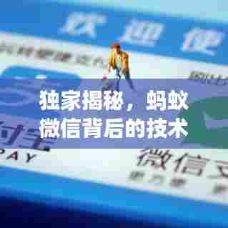 独家揭秘,蚂蚁微信背后的技术商业逻辑与独家代码解析