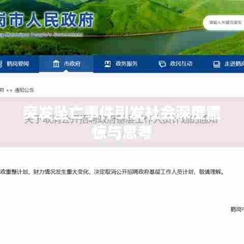 突发坠亡事件引发社会深度震惊与思考