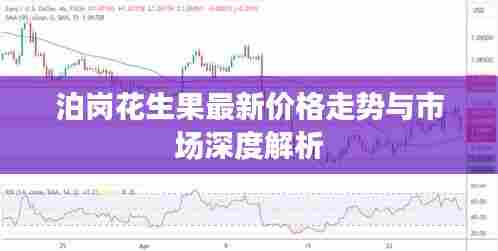 泊岗花生果最新价格走势与市场深度解析