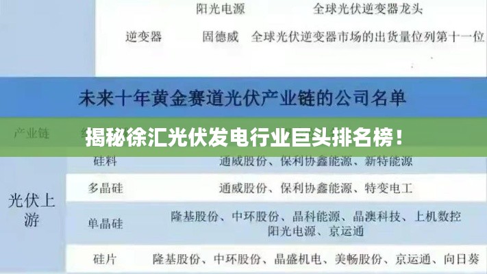 揭秘徐汇光伏发电行业巨头排名榜！