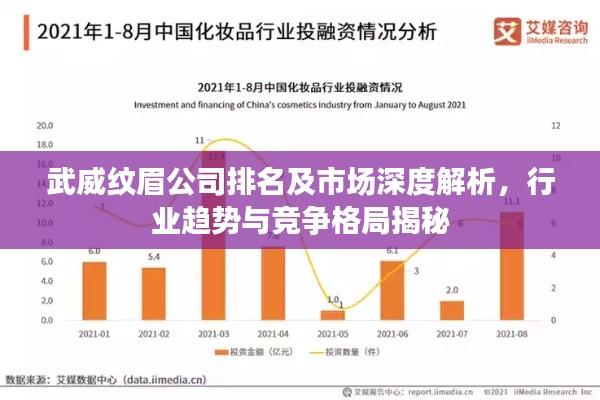 武威纹眉公司排名及市场深度解析，行业趋势与竞争格局揭秘