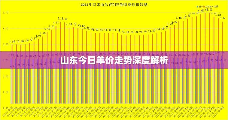 山东今日羊价走势深度解析
