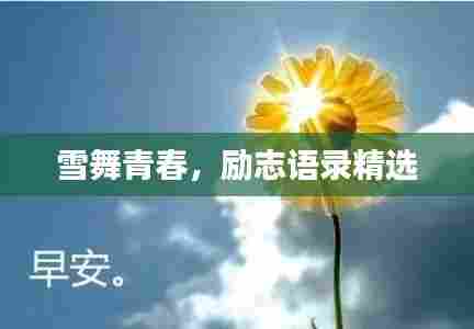 雪舞青春,励志语录精选