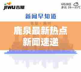 鹿泉最新热点新闻速递