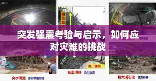 突发强震考验与启示，如何应对灾难的挑战