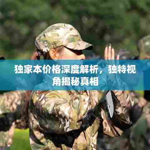 独家本价格深度解析,独特视角揭秘真相