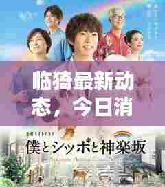 临猗最新动态，今日消息一网打尽！