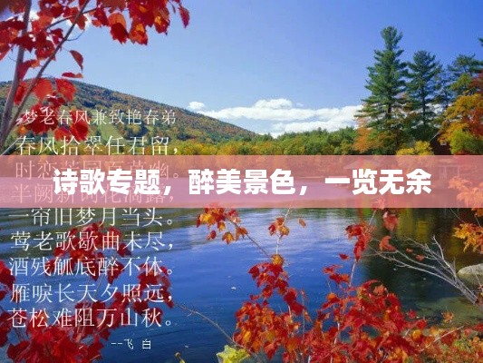 诗歌专题，醉美景色，一览无余