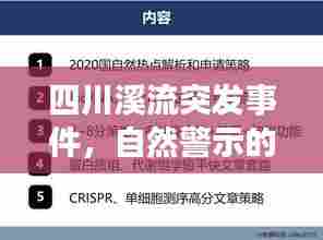 四川溪流突发事件，自然警示的背后与应对策略探索