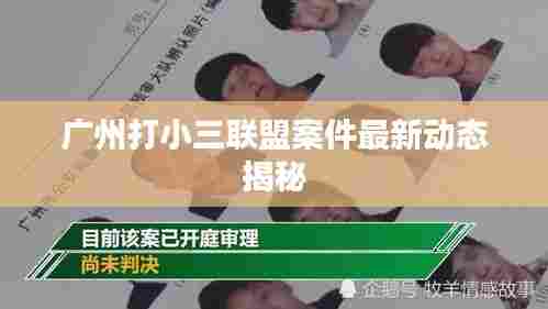 广州打小三联盟案件最新动态揭秘