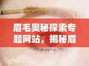 眉毛奥秘探索专题网站，揭秘眉毛的魅力与神秘之处