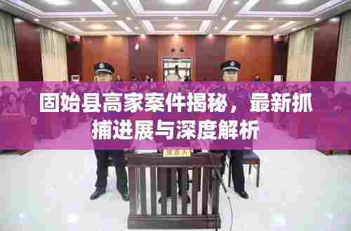 固始县高家案件揭秘，最新抓捕进展与深度解析