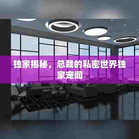 独家揭秘，总裁的私密世界独家宠闻