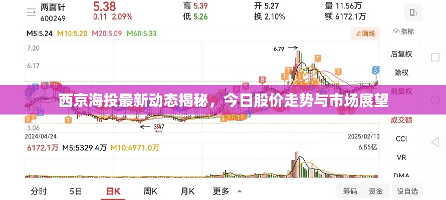 西京海投最新动态揭秘,今日股价走势与市场展望