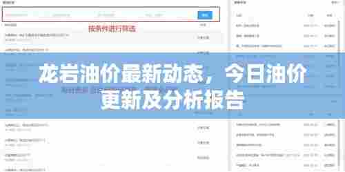 龙岩油价最新动态，今日油价更新及分析报告