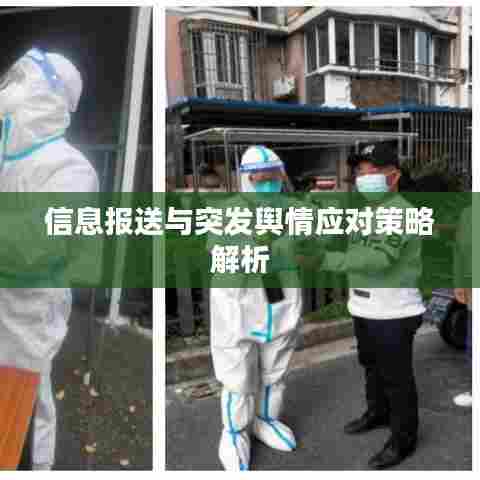 信息报送与突发舆情应对策略解析
