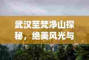 武汉至梵净山探秘，绝美风光与深度游玩攻略