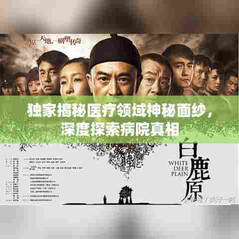 独家揭秘医疗领域神秘面纱，深度探索病院真相