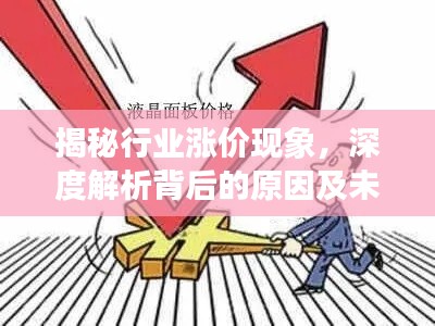 揭秘行业涨价现象,深度解析背后的原因及未来趋势