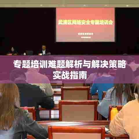 专题培训难题解析与解决策略实战指南