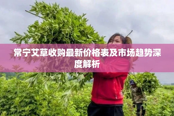 常宁艾草收购最新价格表及市场趋势深度解析