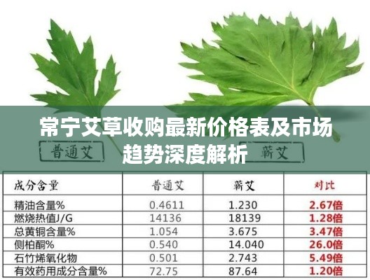 常宁艾草收购最新价格表及市场趋势深度解析