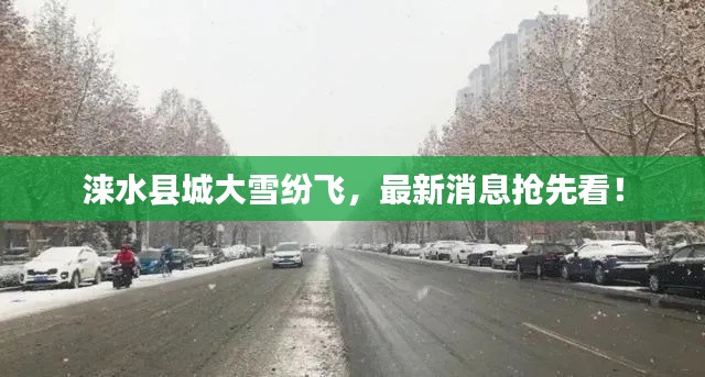涞水县城大雪纷飞,最新消息抢先看!