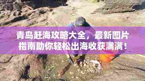 青岛赶海攻略大全，最新图片指南助你轻松出海收获满满！