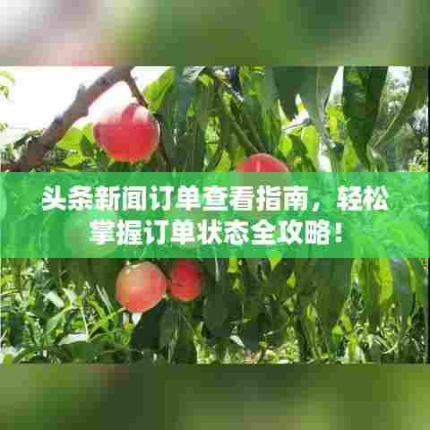 头条新闻订单查看指南,轻松掌握订单状态全攻略!