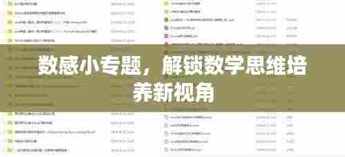 数感小专题，解锁数学思维培养新视角