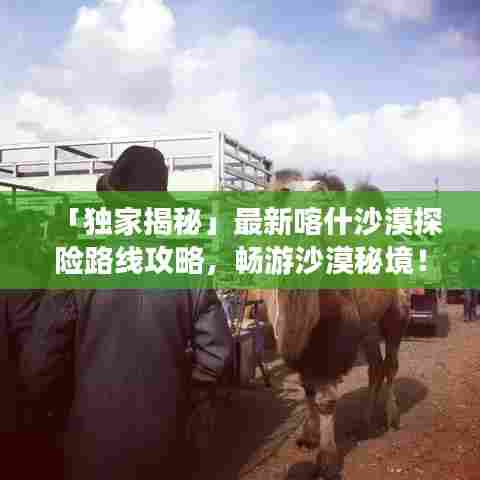 精雕细刻 第5页