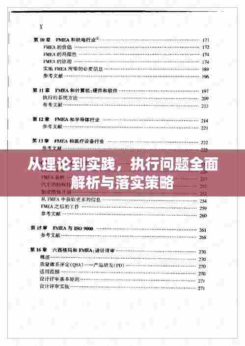 从理论到实践，执行问题全面解析与落实策略