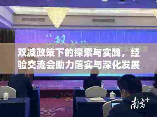 双减政策下的探索与实践，经验交流会助力落实与深化发展