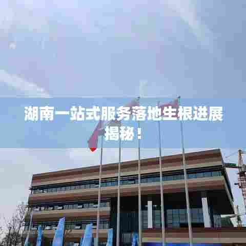湖南一站式服务落地生根进展揭秘！