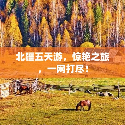 北疆五天游，惊艳之旅，一网打尽！