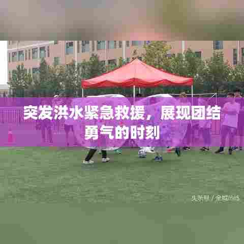 突发洪水紧急救援,展现团结勇气的时刻